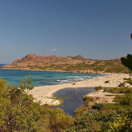 Appartement Terrasse St Florent Saint-Florent  Εξωτερικό φωτογραφία